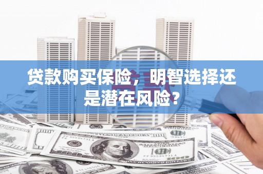 雨山贷款购买保险，明智选择还是潜在风险？