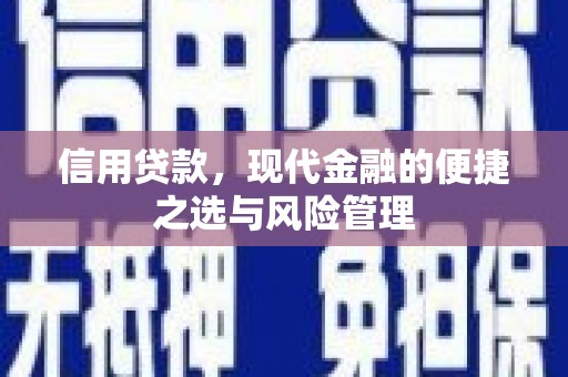 宁晋信用贷款，现代金融的便捷之选与风险管理