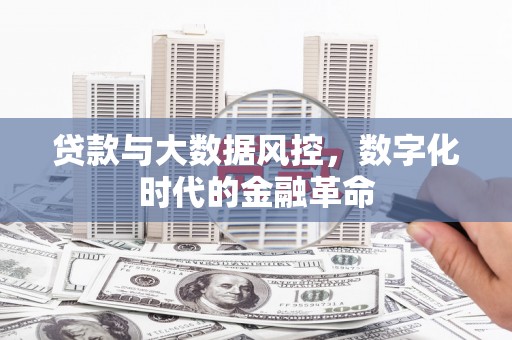 长白贷款与大数据风控，数字化时代的金融革命