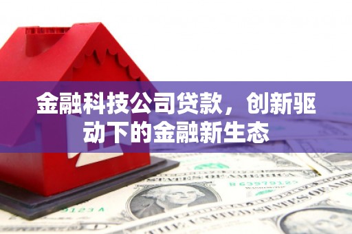 昂昂溪金融科技公司贷款，创新驱动下的金融新生态