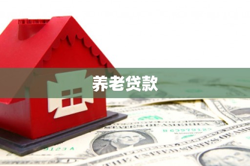 通道养老贷款