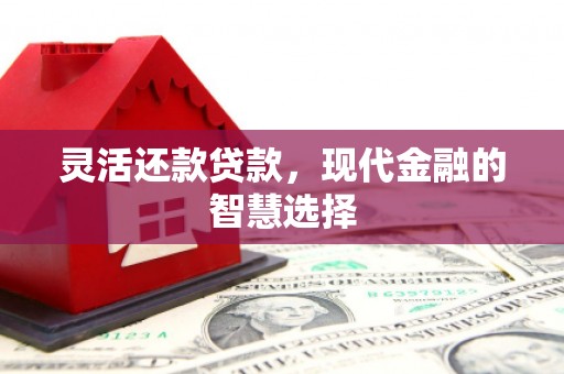 梅山灵活还款贷款，现代金融的智慧选择