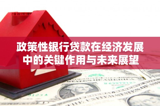 沂源政策性银行贷款在经济发展中的关键作用与未来展望