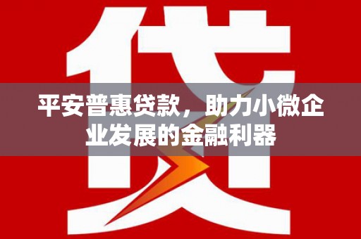 雅江平安普惠贷款，助力小微企业发展的金融利器