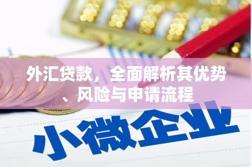 玛家外汇贷款，全面解析其优势、风险与申请流程