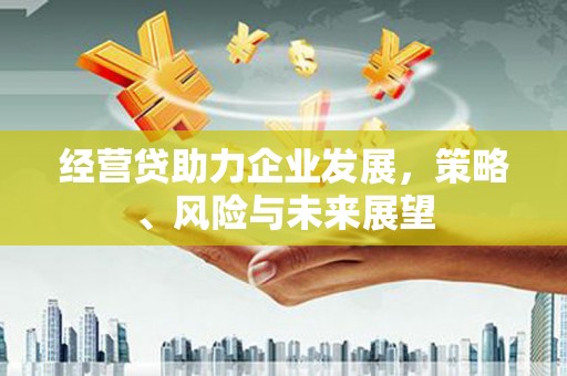 鲅鱼圈经营贷助力企业发展，策略、风险与未来展望