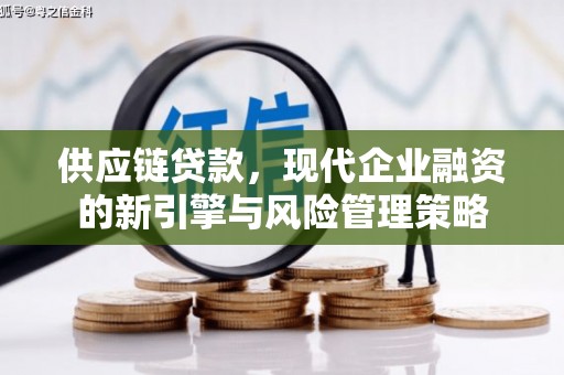 鲅鱼圈供应链贷款，现代企业融资的新引擎与风险管理策略