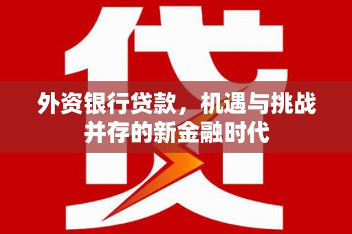 兴山外资银行贷款，机遇与挑战并存的新金融时代
