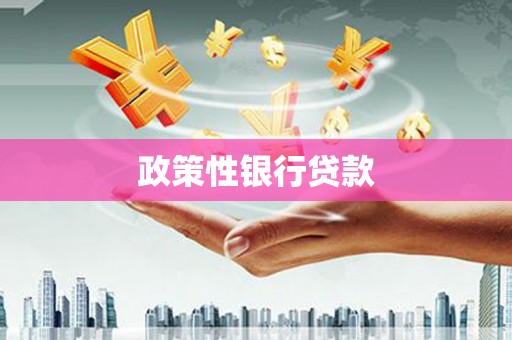 玉门政策性银行贷款