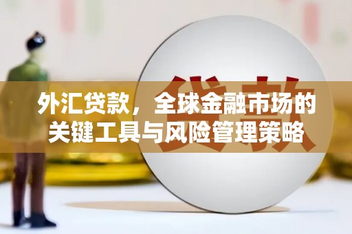 三亚外汇贷款，全球金融市场的关键工具与风险管理策略
