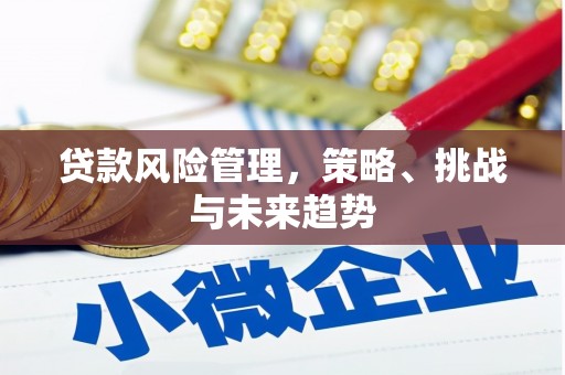 长岛贷款风险管理，策略、挑战与未来趋势