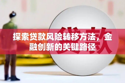 布袋探索贷款风险转移方法，金融创新的关键路径