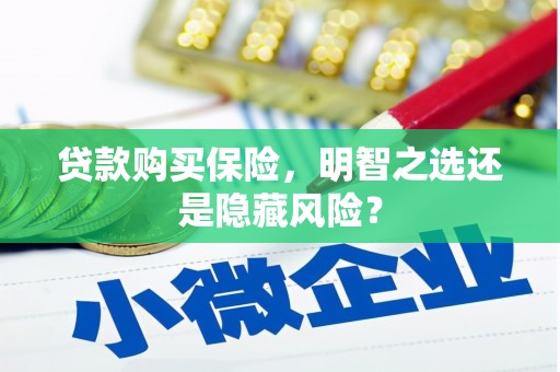 沂源贷款购买保险，明智之选还是隐藏风险？