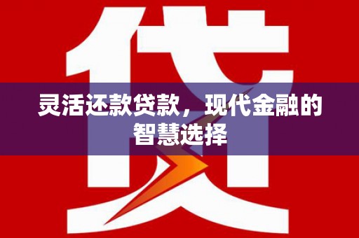 兴县灵活还款贷款，现代金融的智慧选择