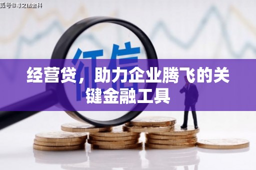 勉县经营贷，助力企业腾飞的关键金融工具