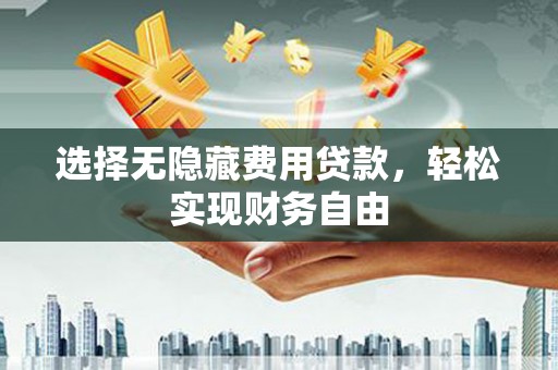 贞丰选择无隐藏费用贷款，轻松实现财务自由
