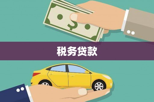 山上税务贷款
