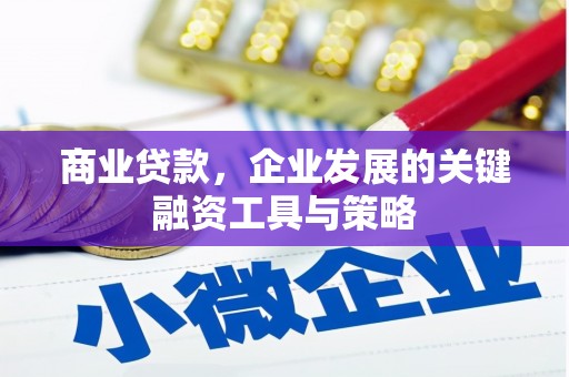 滦南商业贷款，企业发展的关键融资工具与策略