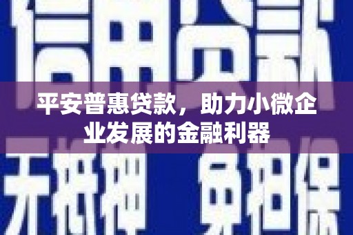 树林平安普惠贷款，助力小微企业发展的金融利器