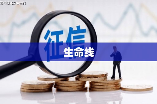闵行生命线