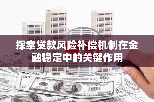 乾安探索贷款风险补偿机制在金融稳定中的关键作用