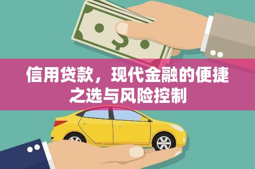 小金信用贷款，现代金融的便捷之选与风险控制