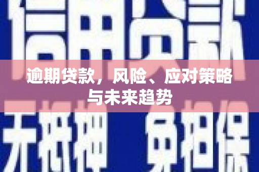 措勤逾期贷款，风险、应对策略与未来趋势