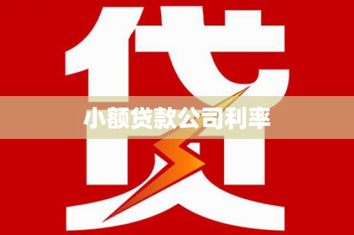 开阳小额贷款公司利率