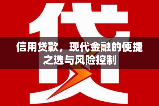 丹寨信用贷款，现代金融的便捷之选与风险控制