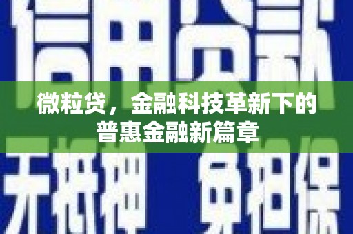 沛县微粒贷，金融科技革新下的普惠金融新篇章