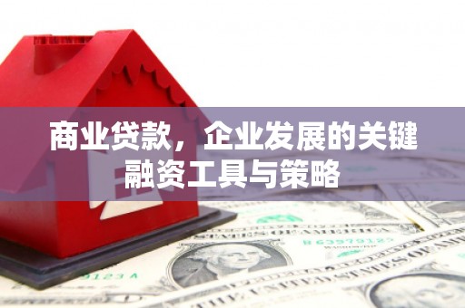 曾都商业贷款，企业发展的关键融资工具与策略