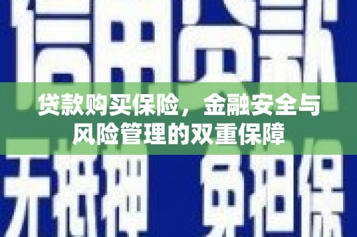 榕城贷款购买保险，金融安全与风险管理的双重保障