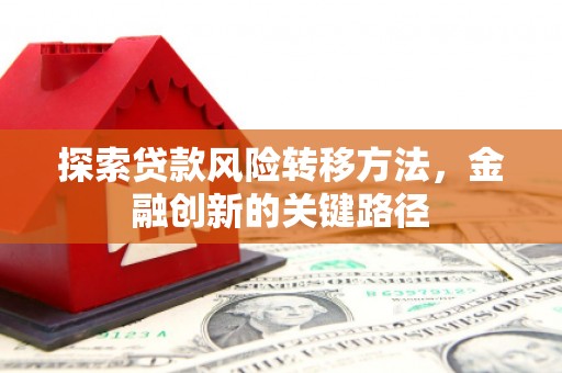 巴彦探索贷款风险转移方法，金融创新的关键路径