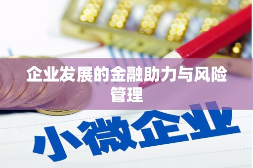 屯门企业发展的金融助力与风险管理
