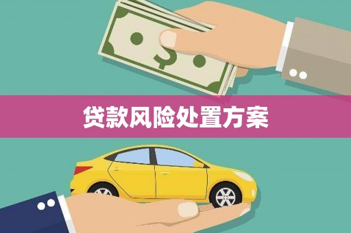 中埔贷款风险处置方案
