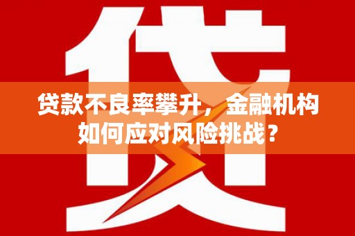 灌阳贷款不良率攀升，金融机构如何应对风险挑战？