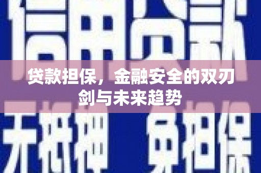 永清贷款担保，金融安全的双刃剑与未来趋势