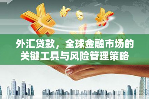 志丹外汇贷款，全球金融市场的关键工具与风险管理策略