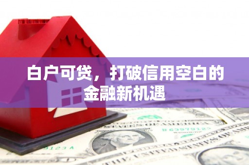 龙潭白户可贷，打破信用空白的金融新机遇