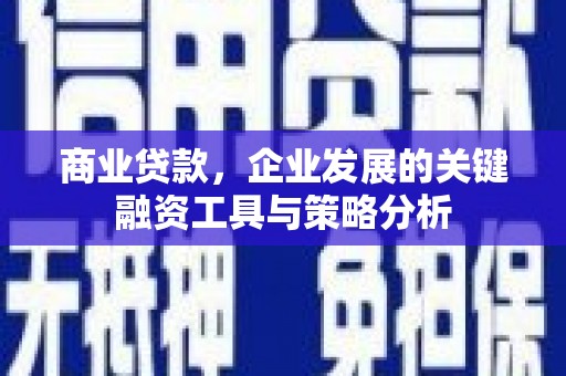 伸港商业贷款，企业发展的关键融资工具与策略分析
