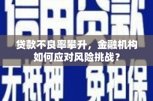 邵阳贷款不良率攀升，金融机构如何应对风险挑战？