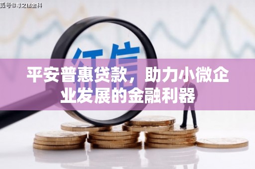 馆陶平安普惠贷款，助力小微企业发展的金融利器