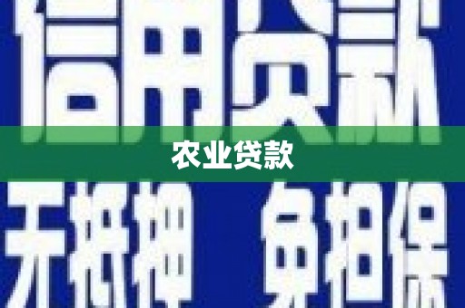 九江农业贷款
