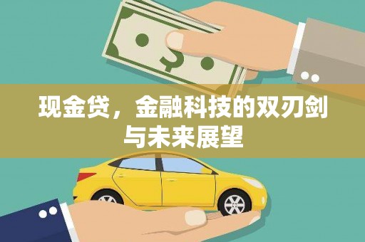 板桥现金贷，金融科技的双刃剑与未来展望