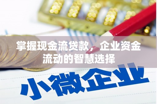 安南掌握现金流贷款，企业资金流动的智慧选择