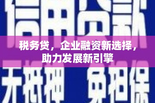 温泉税务贷，企业融资新选择，助力发展新引擎