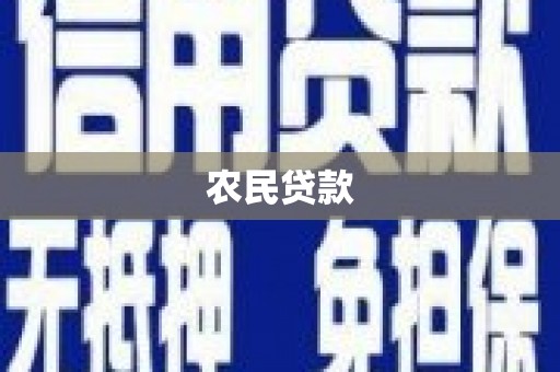 柳南农民贷款