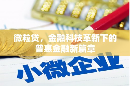 鹿泉微粒贷，金融科技革新下的普惠金融新篇章
