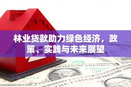 松溪林业贷款助力绿色经济，政策、实践与未来展望