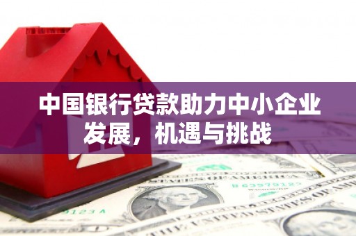 于田中国银行贷款助力中小企业发展，机遇与挑战